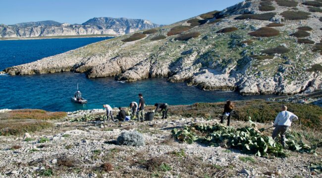 BTS – GESTION ET PROTECTION DE LA NATURE (GPN)